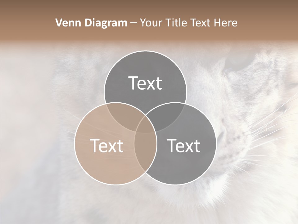 Mammal Zoo Portrait PowerPoint Template