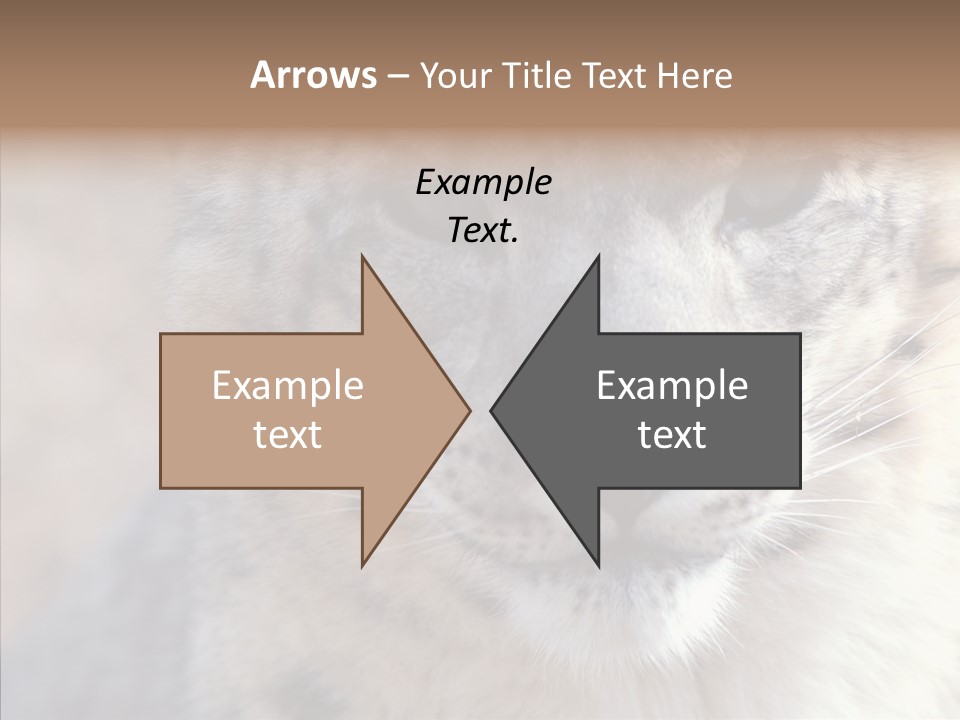 Mammal Zoo Portrait PowerPoint Template