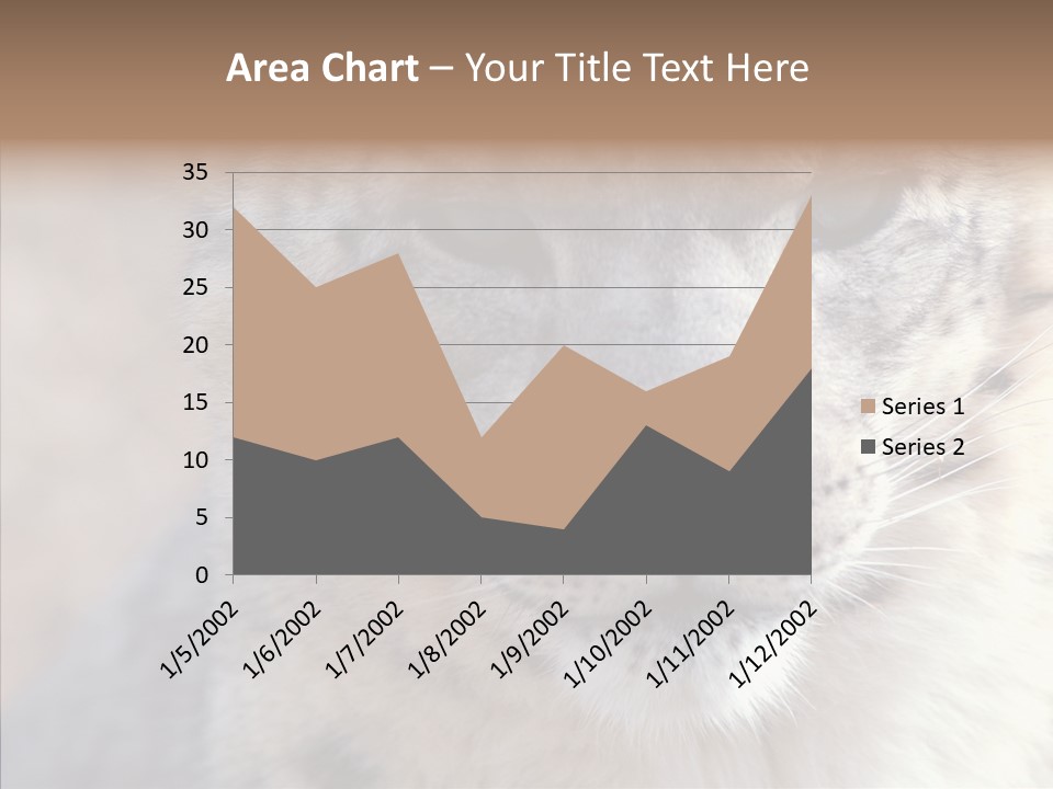 Mammal Zoo Portrait PowerPoint Template