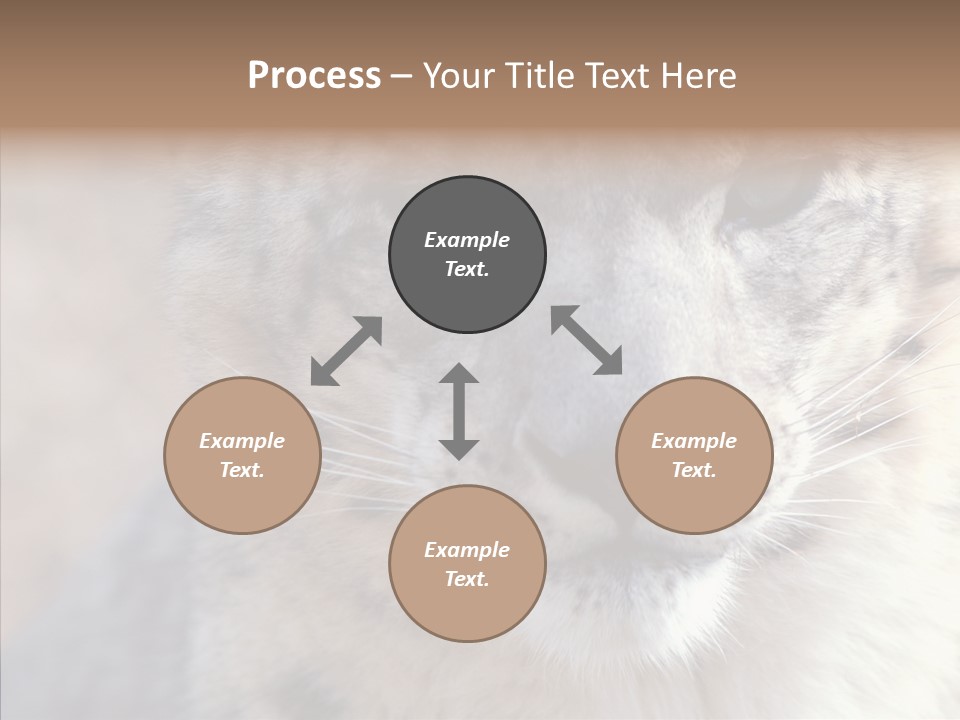 Mammal Zoo Portrait PowerPoint Template