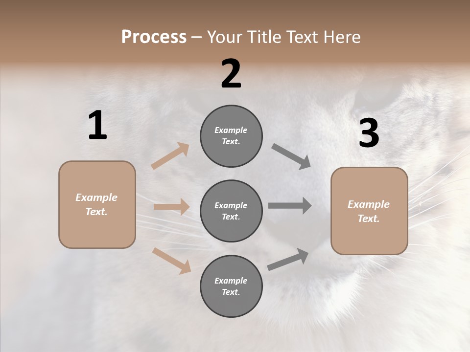 Mammal Zoo Portrait PowerPoint Template