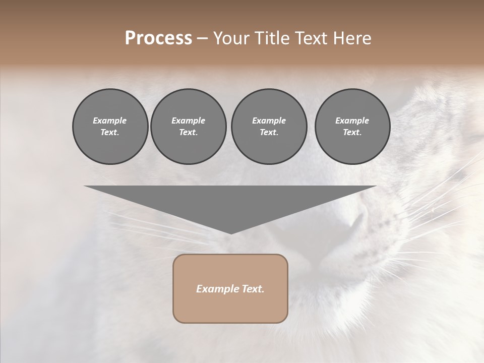 Mammal Zoo Portrait PowerPoint Template