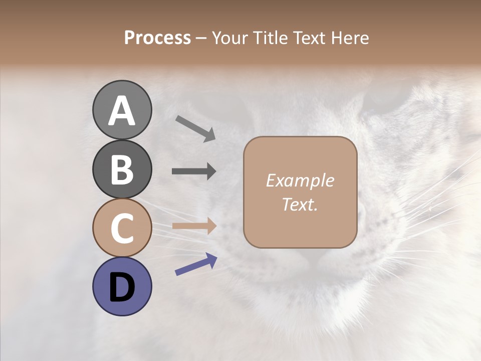 Mammal Zoo Portrait PowerPoint Template