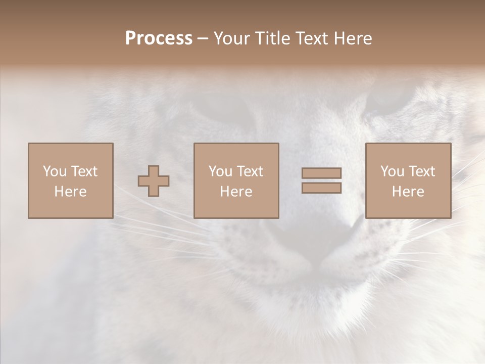 Mammal Zoo Portrait PowerPoint Template