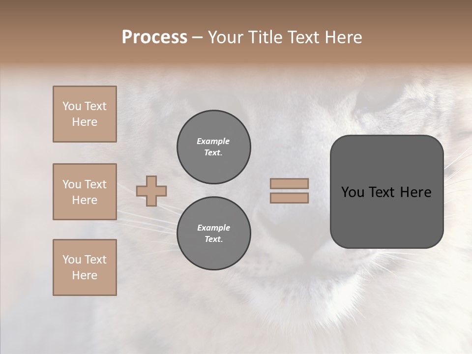 Mammal Zoo Portrait PowerPoint Template