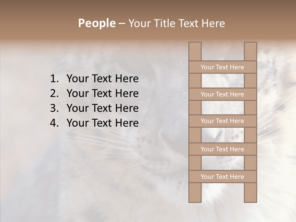 Mammal Zoo Portrait PowerPoint Template