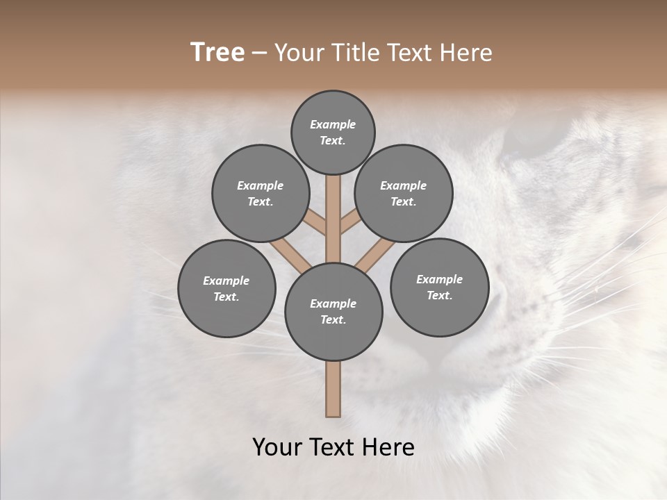 Mammal Zoo Portrait PowerPoint Template