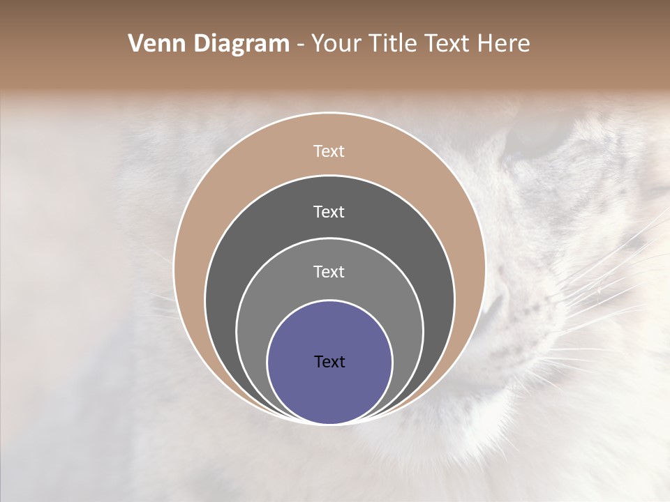 Mammal Zoo Portrait PowerPoint Template