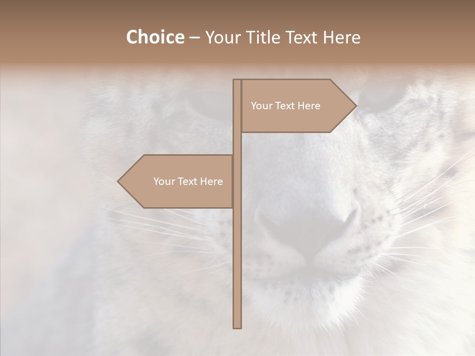 Mammal Zoo Portrait PowerPoint Template