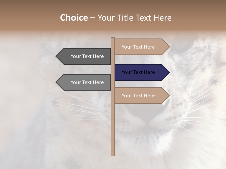 Mammal Zoo Portrait PowerPoint Template