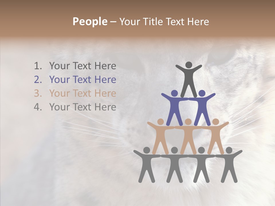 Mammal Zoo Portrait PowerPoint Template
