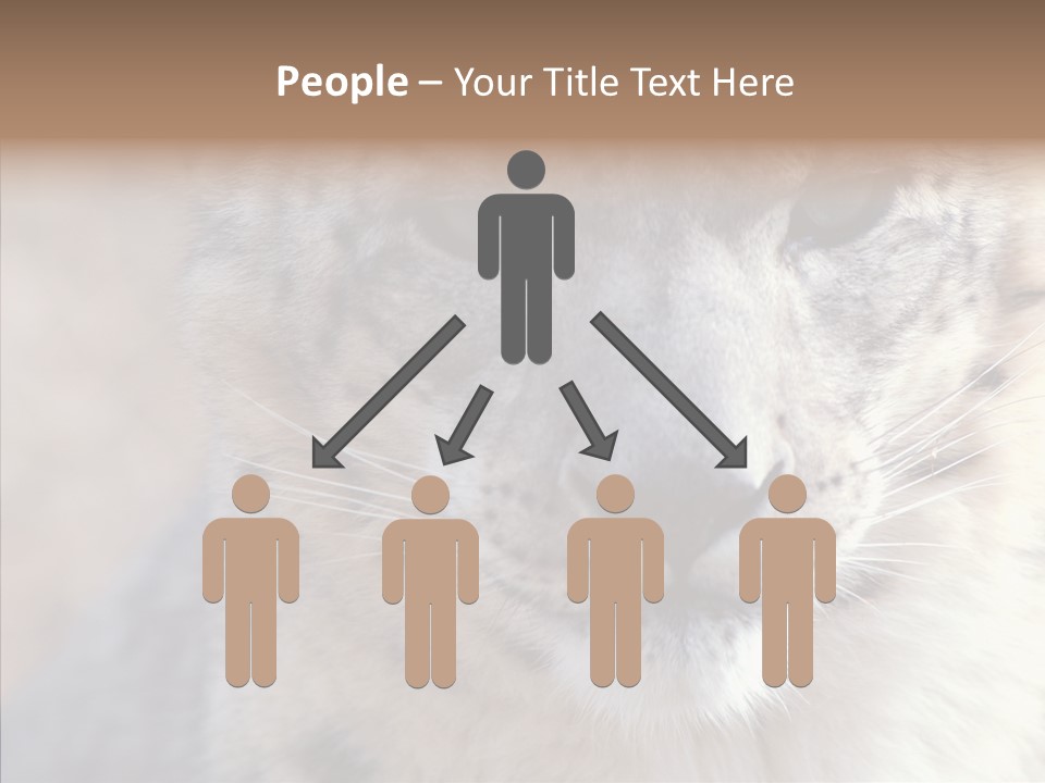 Mammal Zoo Portrait PowerPoint Template