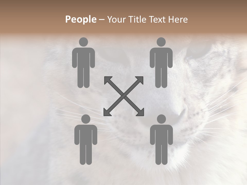 Mammal Zoo Portrait PowerPoint Template