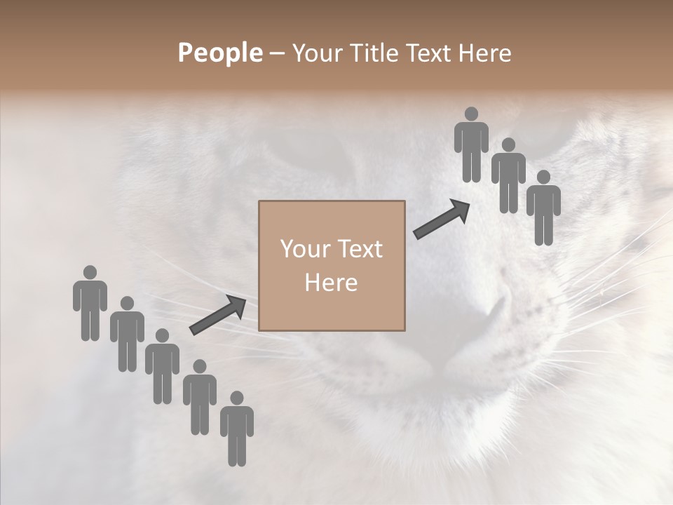 Mammal Zoo Portrait PowerPoint Template