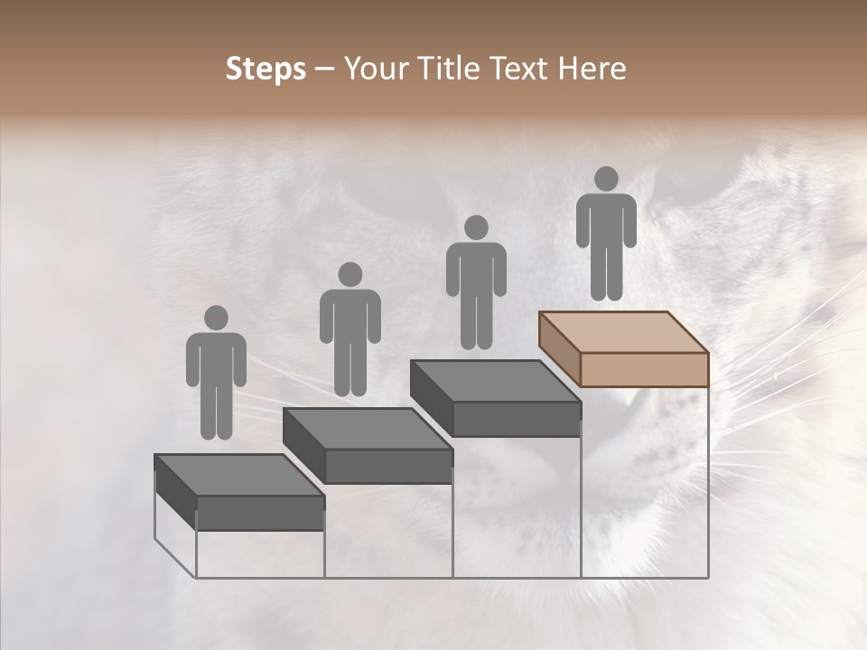 Mammal Zoo Portrait PowerPoint Template