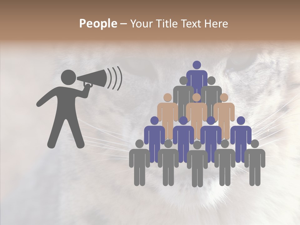 Mammal Zoo Portrait PowerPoint Template