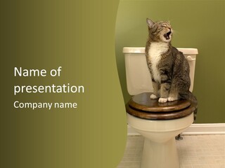 Funny Bathroom Dignity PowerPoint Template