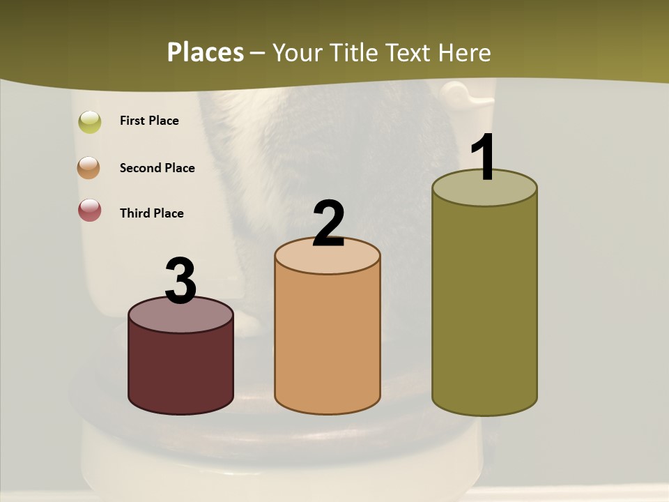 Funny Bathroom Dignity PowerPoint Template