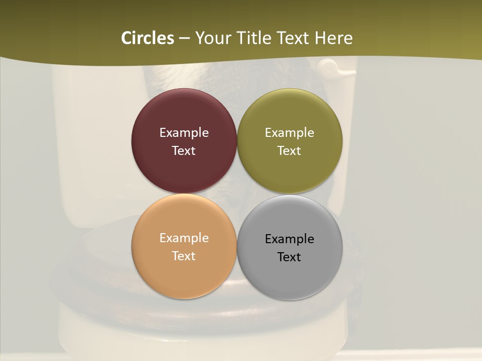 Funny Bathroom Dignity PowerPoint Template