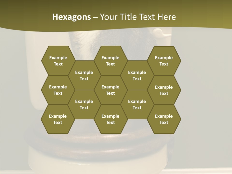 Funny Bathroom Dignity PowerPoint Template