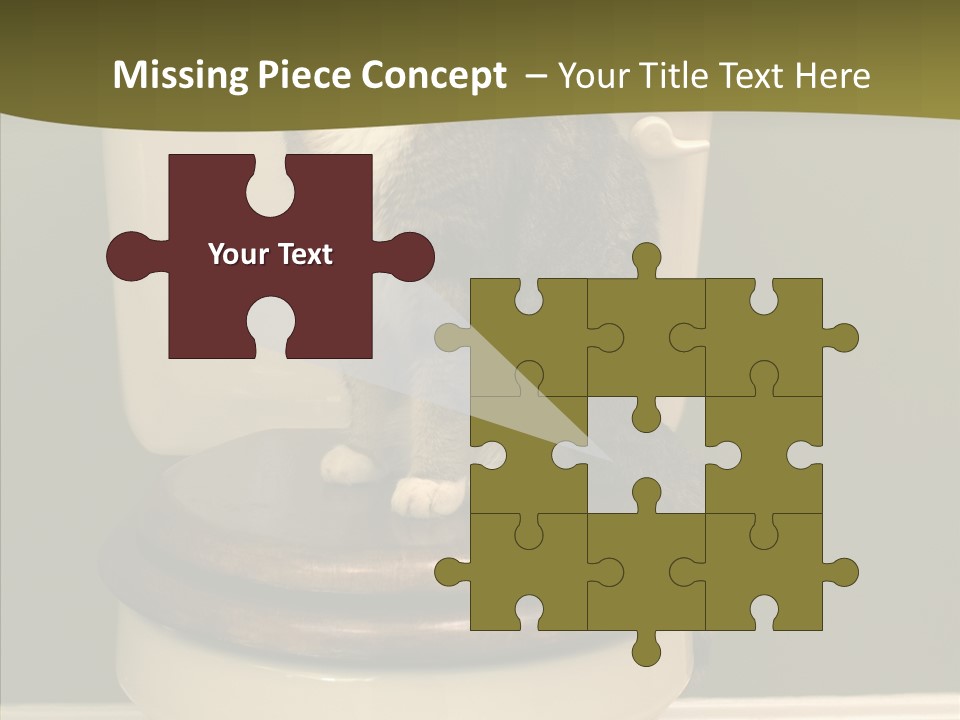 Funny Bathroom Dignity PowerPoint Template