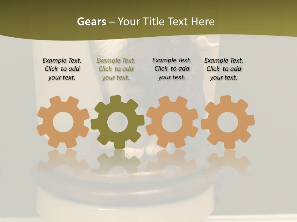 Funny Bathroom Dignity PowerPoint Template