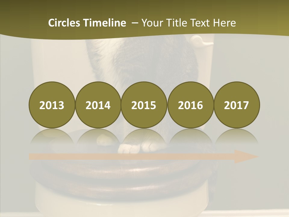 Funny Bathroom Dignity PowerPoint Template