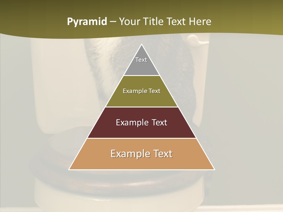 Funny Bathroom Dignity PowerPoint Template