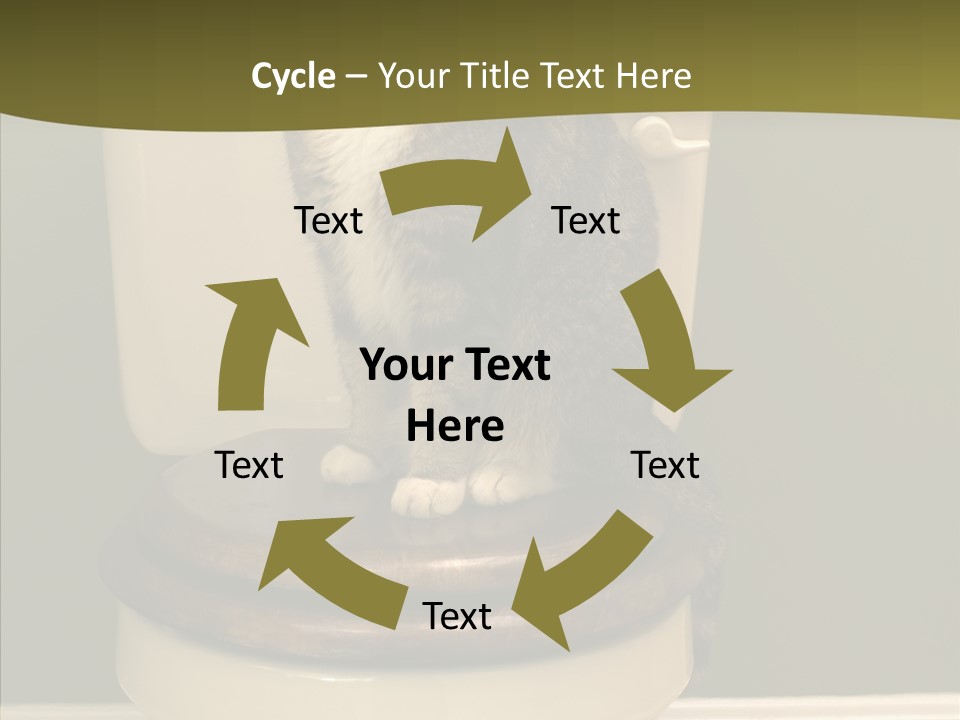 Funny Bathroom Dignity PowerPoint Template