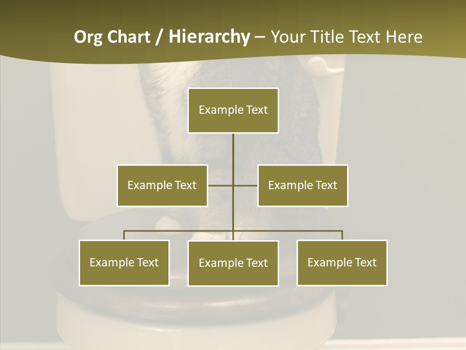 Funny Bathroom Dignity PowerPoint Template