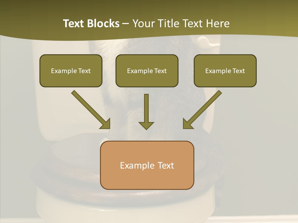Funny Bathroom Dignity PowerPoint Template