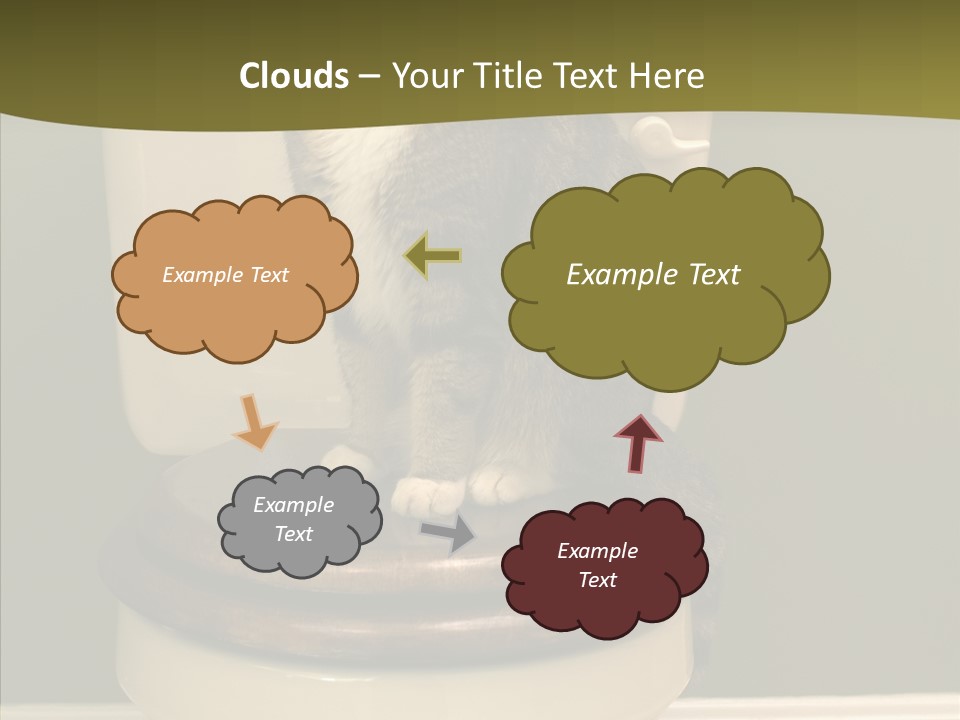 Funny Bathroom Dignity PowerPoint Template