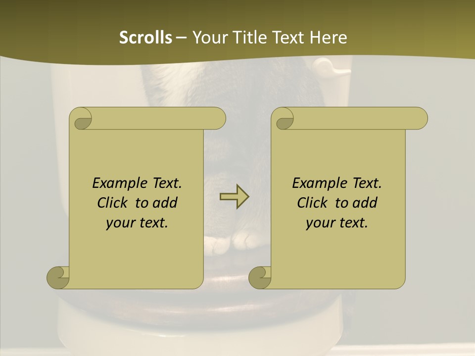 Funny Bathroom Dignity PowerPoint Template