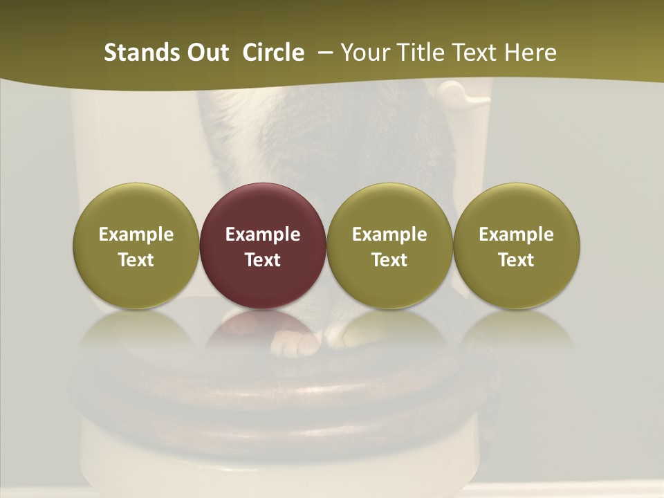 Funny Bathroom Dignity PowerPoint Template