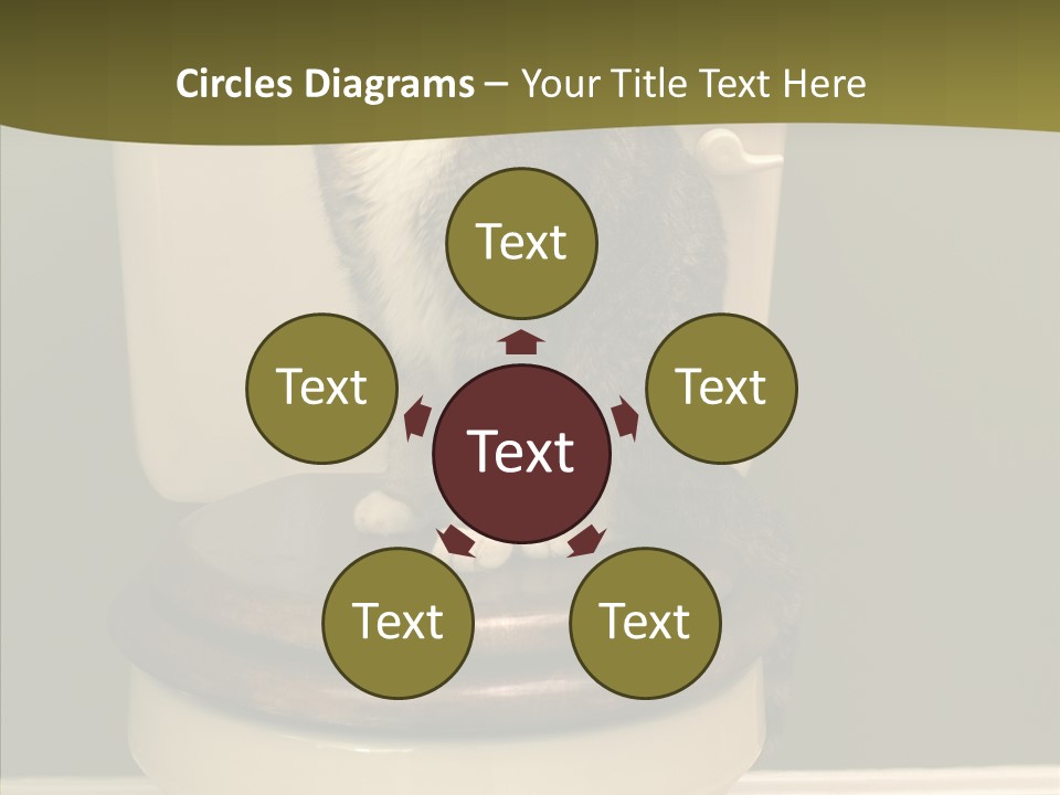 Funny Bathroom Dignity PowerPoint Template