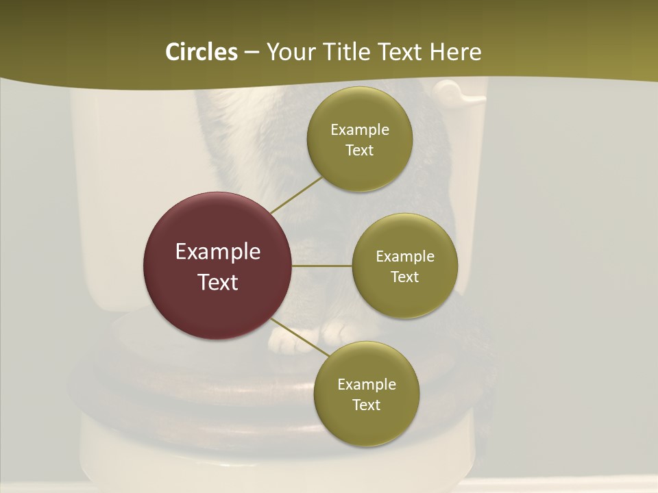 Funny Bathroom Dignity PowerPoint Template