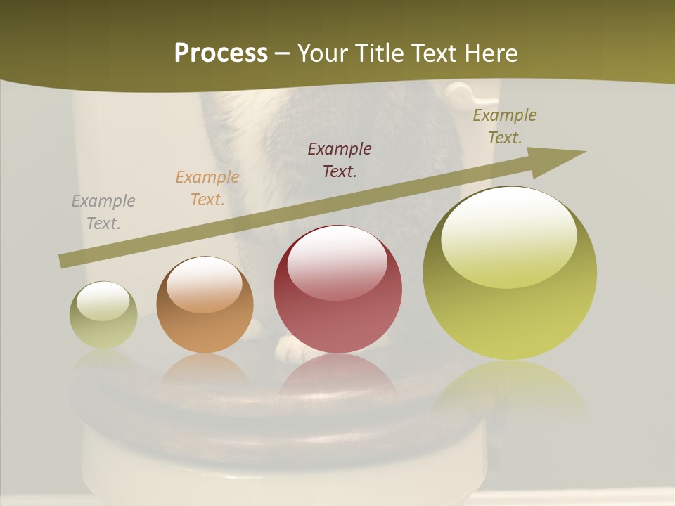 Funny Bathroom Dignity PowerPoint Template