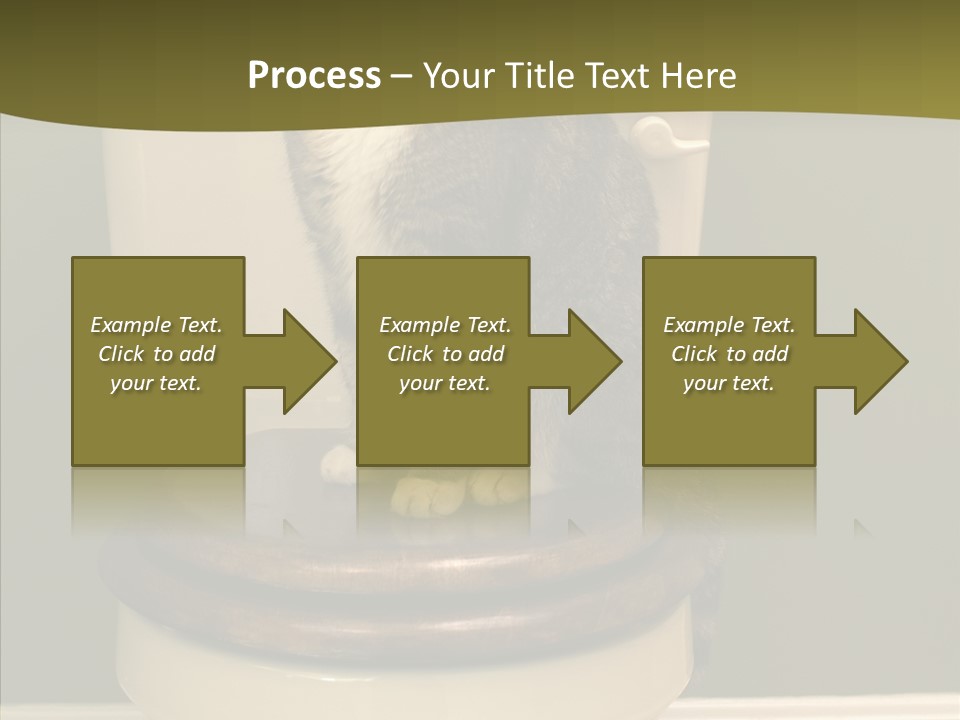 Funny Bathroom Dignity PowerPoint Template