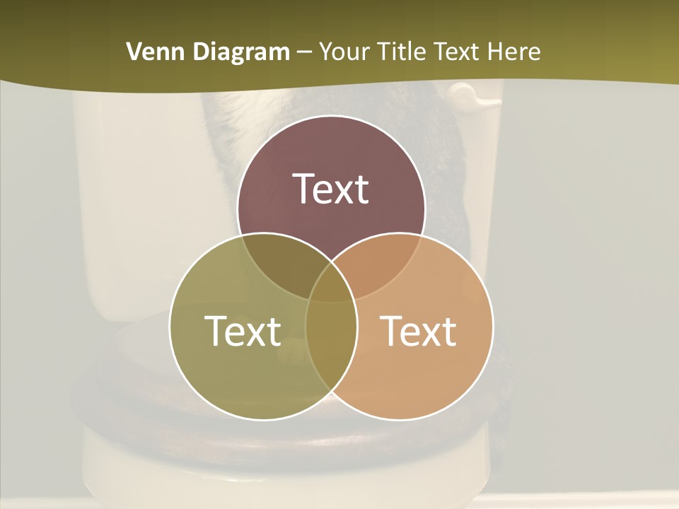 Funny Bathroom Dignity PowerPoint Template