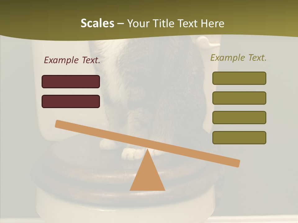 Funny Bathroom Dignity PowerPoint Template