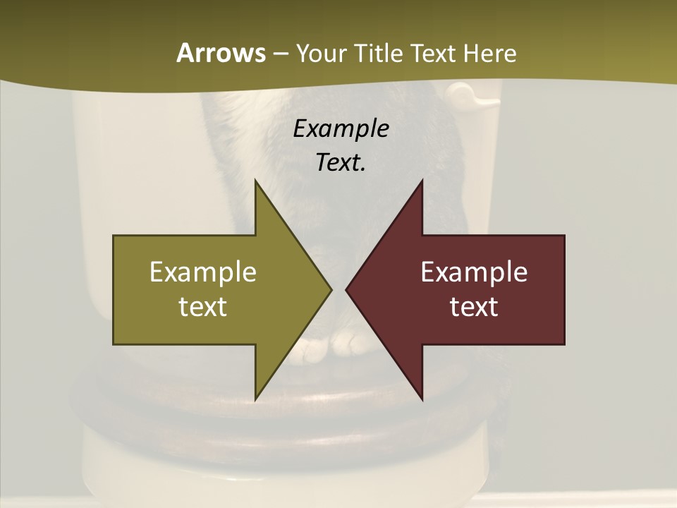 Funny Bathroom Dignity PowerPoint Template