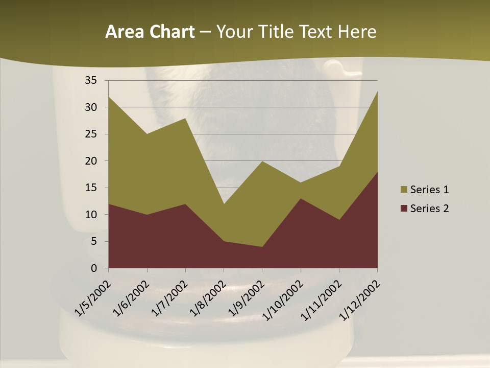 Funny Bathroom Dignity PowerPoint Template