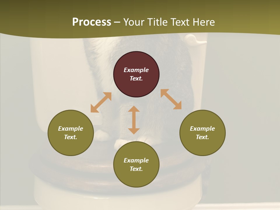 Funny Bathroom Dignity PowerPoint Template