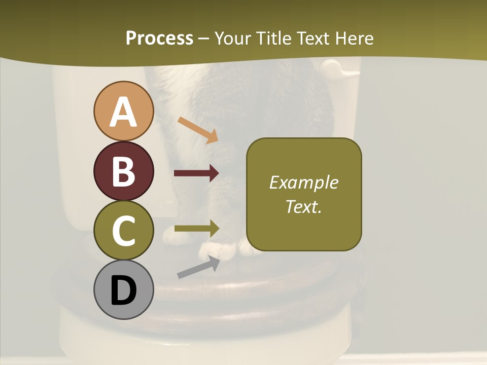 Funny Bathroom Dignity PowerPoint Template