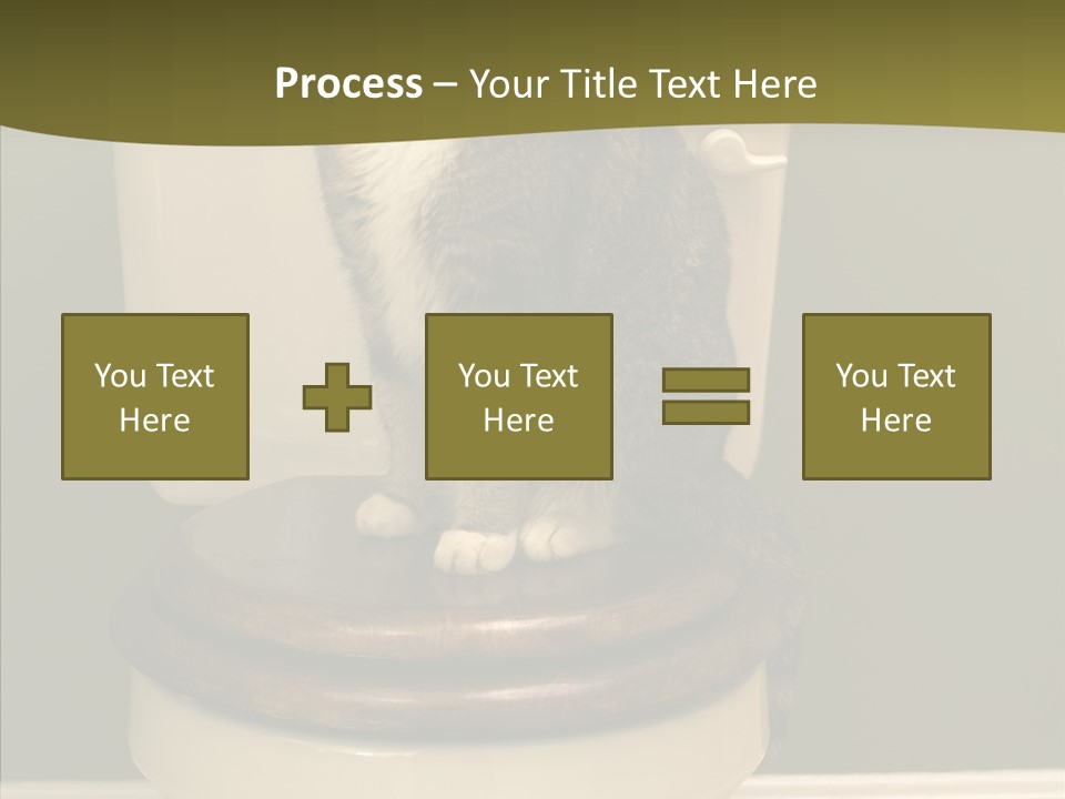 Funny Bathroom Dignity PowerPoint Template