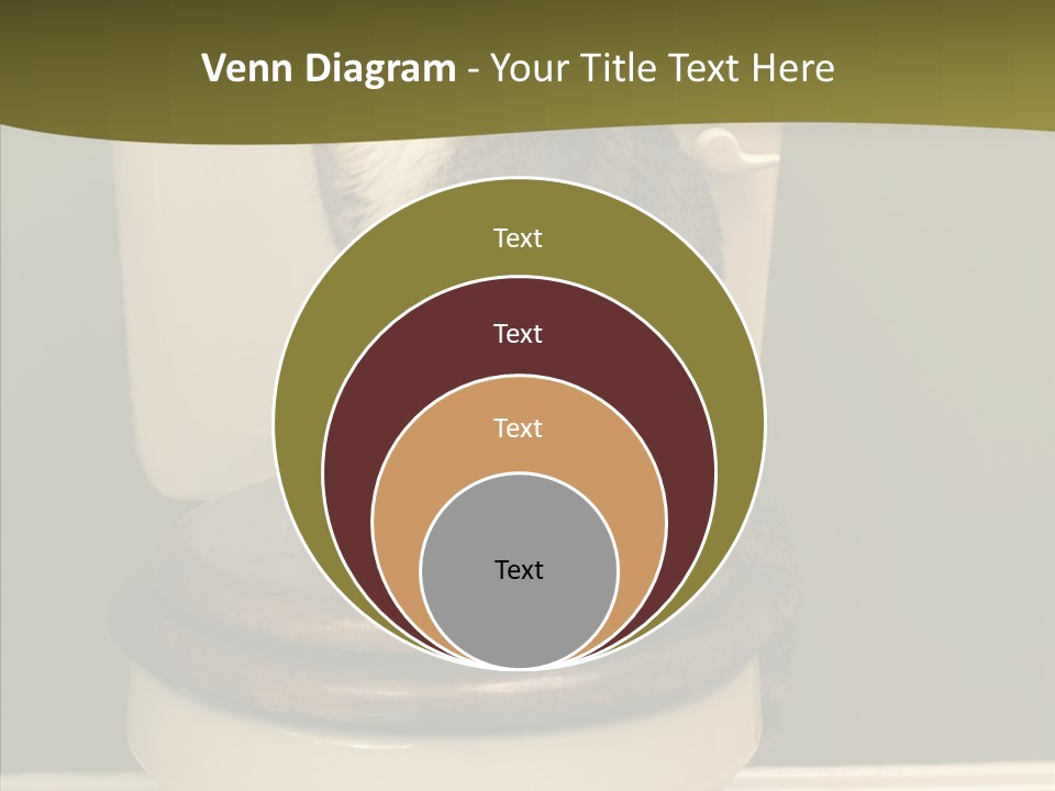 Funny Bathroom Dignity PowerPoint Template