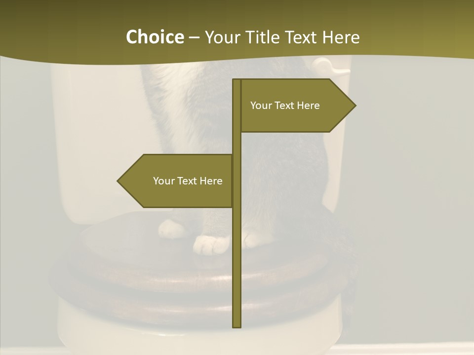 Funny Bathroom Dignity PowerPoint Template