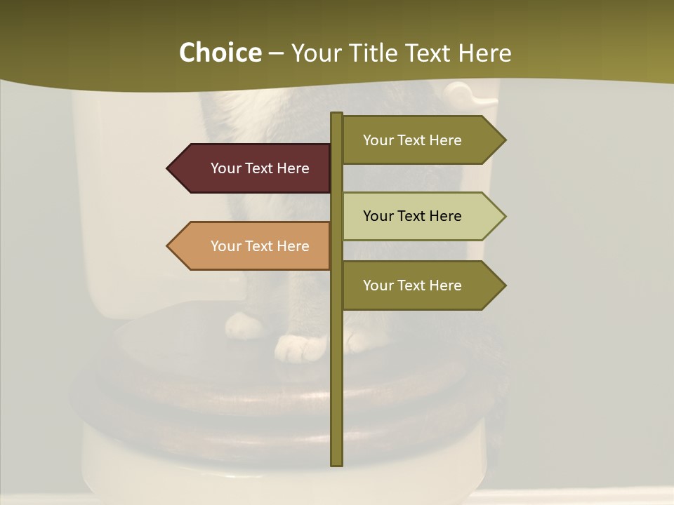 Funny Bathroom Dignity PowerPoint Template