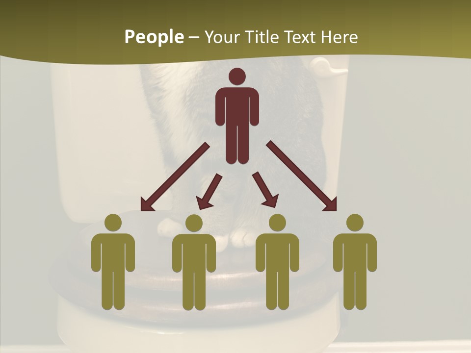 Funny Bathroom Dignity PowerPoint Template