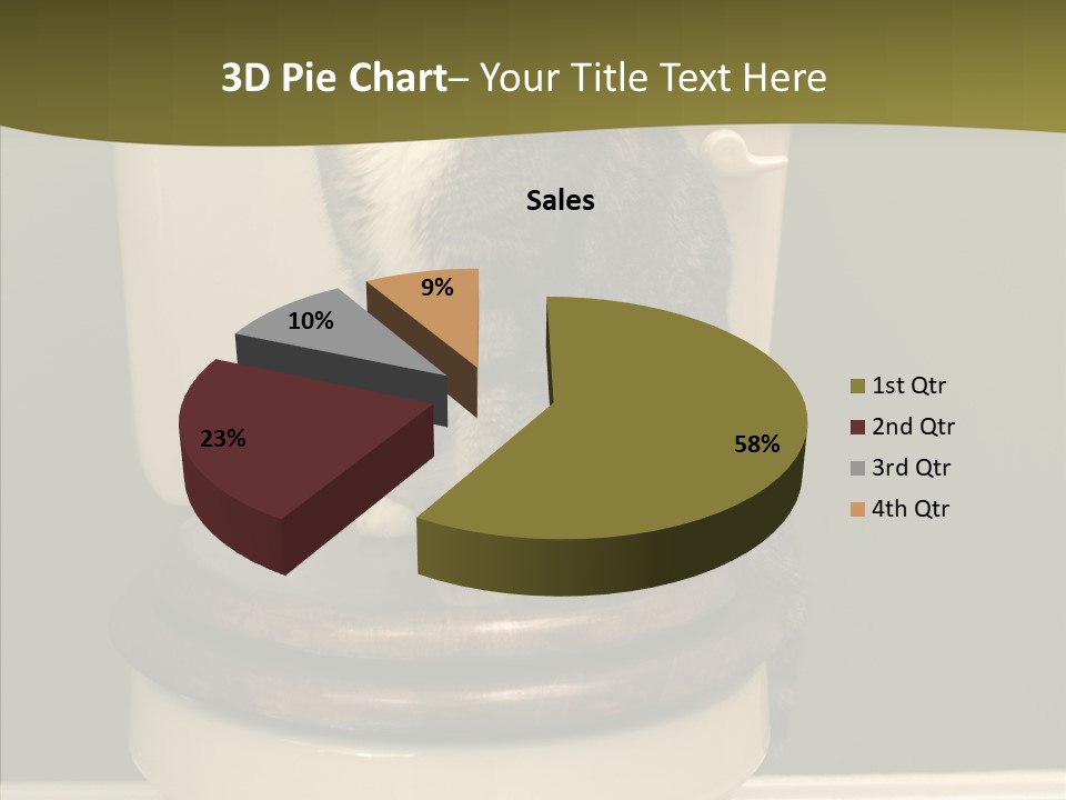 Funny Bathroom Dignity PowerPoint Template